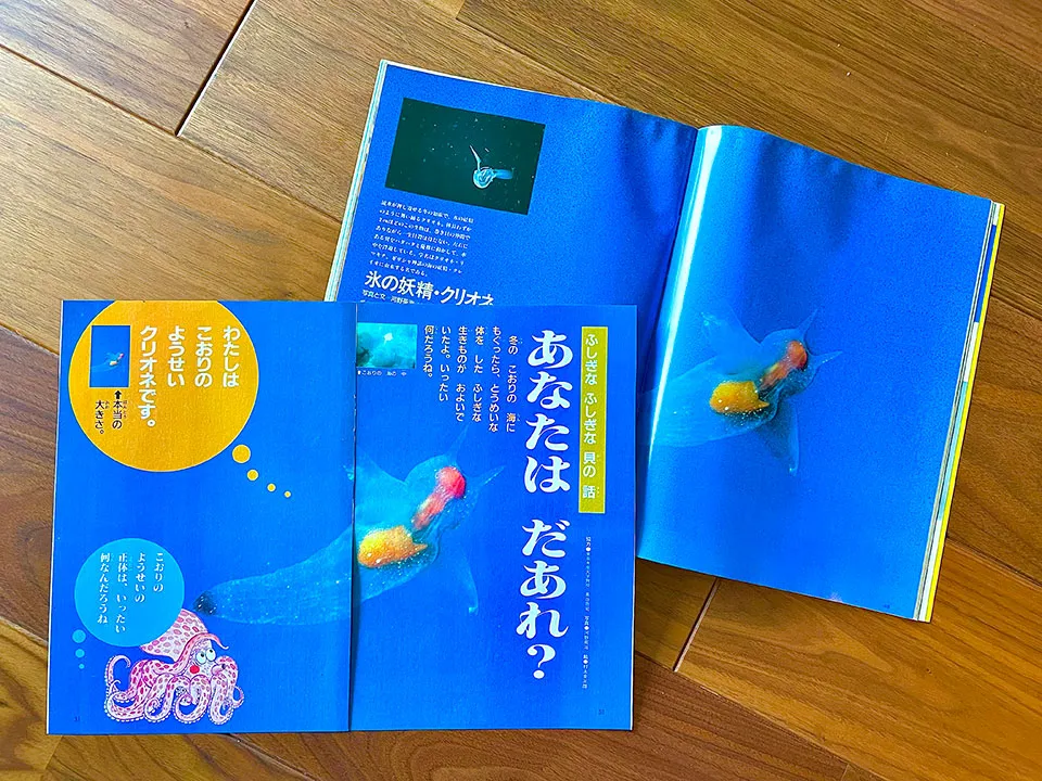 世界で初めてのクリオネ専門書